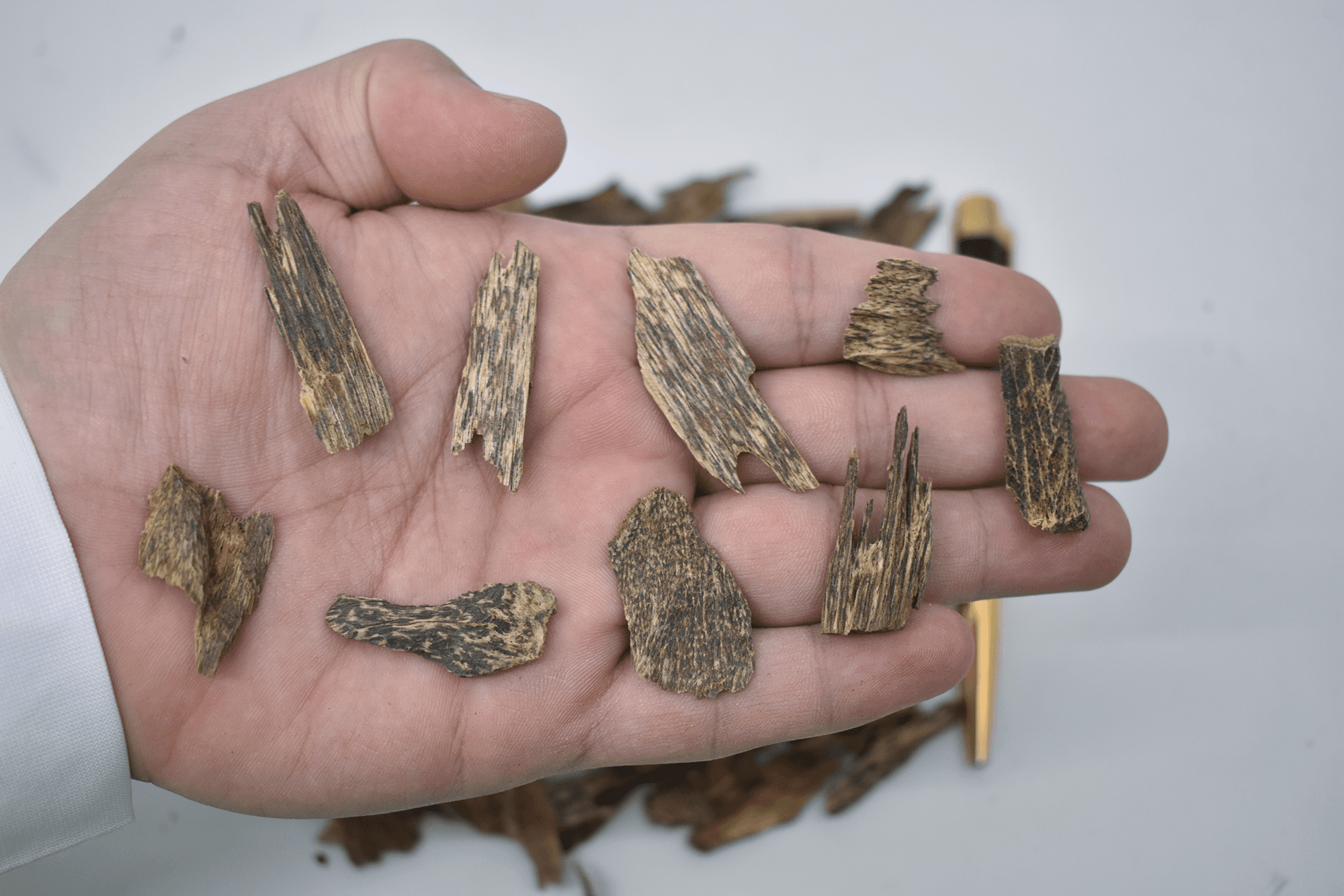 كلمنتان دقة سوبر مرتفع و دبل - المخلف للعود