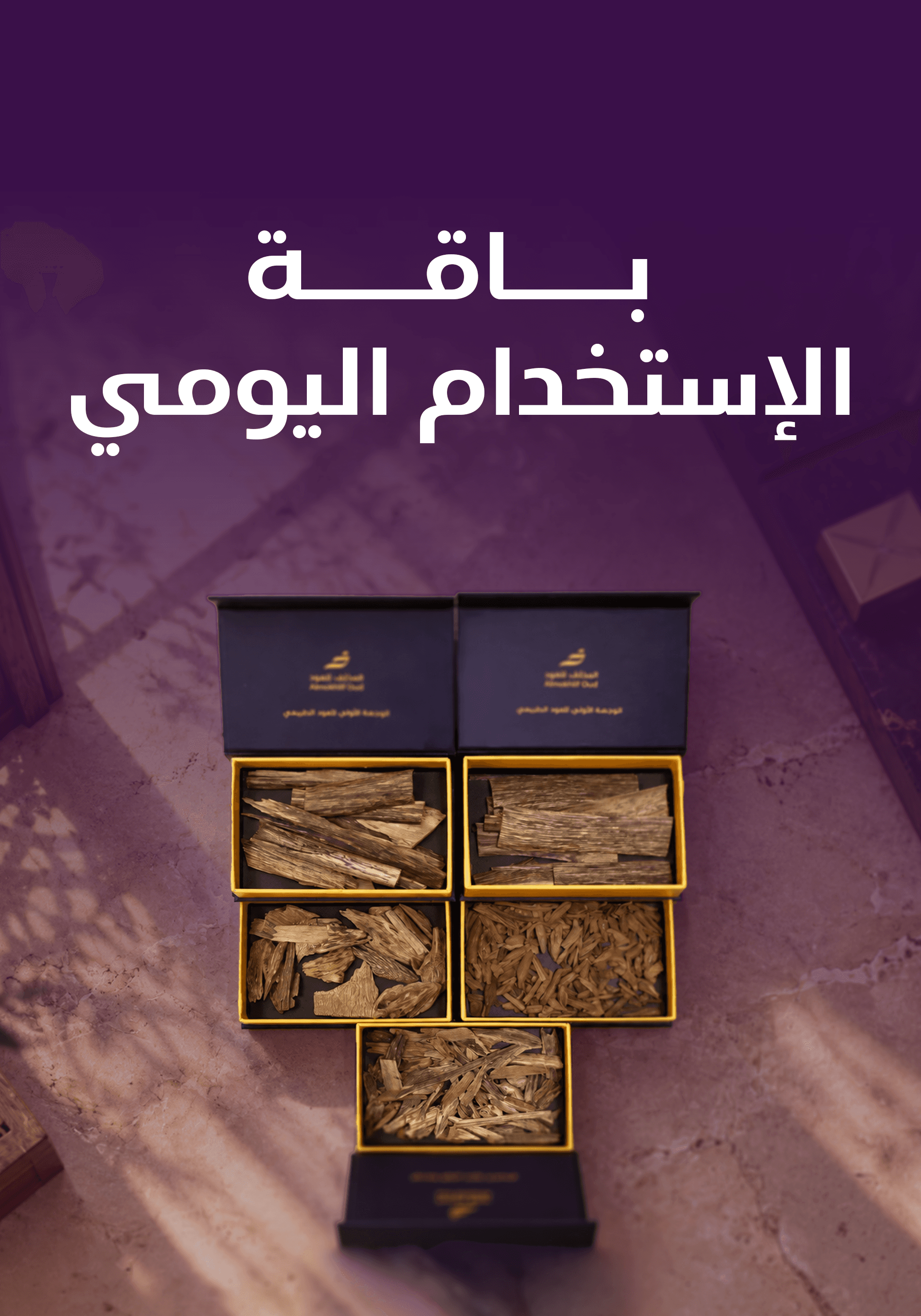 باقة الإستخدام اليومي
